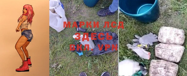 МДПВ Снежинск