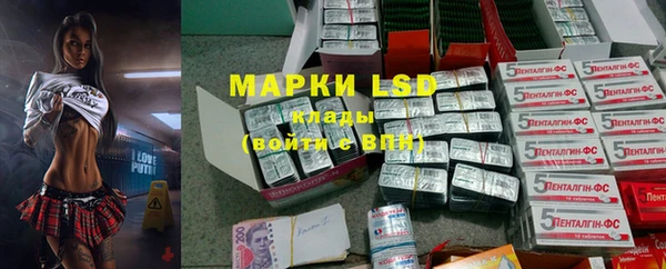 МДПВ Снежинск