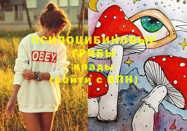 не бодяженный Снежногорск